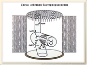 be09l08F028.jpg