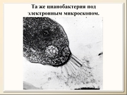 BE10L12F021.jpg