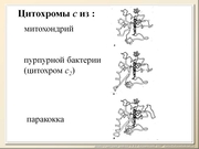 BE10L02F018.jpg