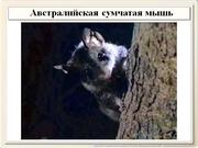 be09l12F016.jpg
