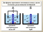 BE10L01F014.jpg