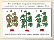 BE2011L12F013.jpg