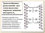 be09l04F012.jpg