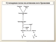 be09l04F021.jpg