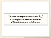 be09l04F010.jpg