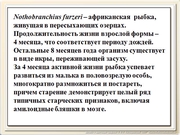 be09l12F020.jpg