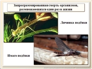 be09l12F013.jpg