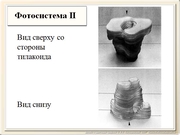 be09l04F007.jpg