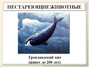be09l12F025.jpg