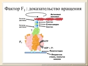 BE10L10F018.jpg