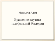 be09l11F010.jpg