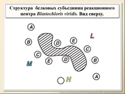 BE10L02F016.jpg