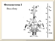 BE10L03F021.jpg
