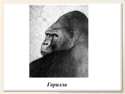 be09l01F017.jpg