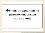 BE10L13F012.jpg