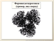 be09l06F020.jpg