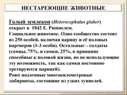 BE2011L12F033.jpg