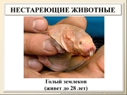 BE10L13F026.jpg