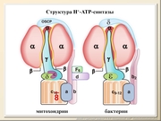 BE10L10F016.jpg