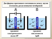 BE2011L01F014.jpg