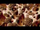 Cancer Cells vs. Healthy Cells