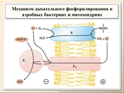 BE10L01F027.jpg