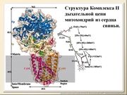 BE10L05F015.jpg