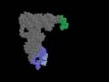 tRNA