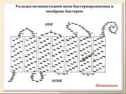 BE2011L09F012.jpg