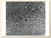 be09l11F021.jpg