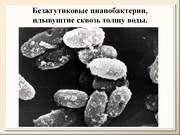 BE10L12F020.jpg