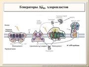 BE10L03F027.jpg