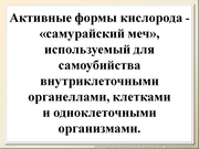BE2011L12F042.jpg