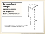 BE10L02F017.jpg
