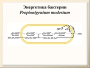 BE2011L11F035.jpg