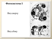 BE2011L03F020.jpg