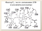 be09l10F021.jpg