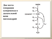 BE10L13F039.jpg