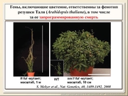 BE2011L12F016.jpg