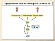 BE10L03F028.jpg