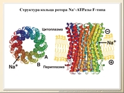 BE10L10F012.jpg