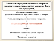 BE2011L12F047.jpg