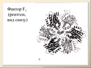 BE10L10F010.jpg