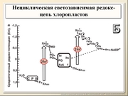 BE2011L03F019.jpg