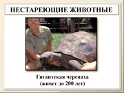 BE10L13F024.jpg