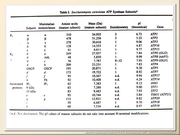 BE2011L10F021.jpg