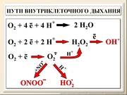 BE10L13F034.jpg