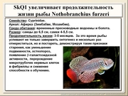 BE2011L12F026.jpg