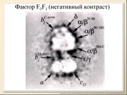 BE10L10F014.jpg