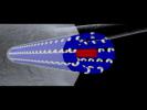 Cytoskeleton Microtubules | Cell Biology